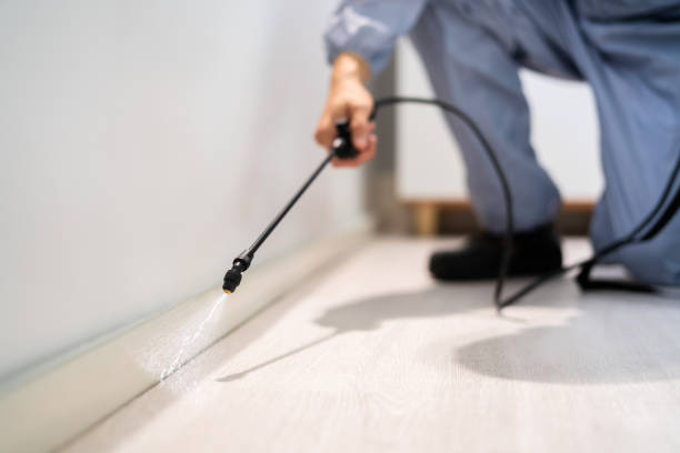 Licensed Pest Control service in Kualapuu, HI - Show Me Pest Control
