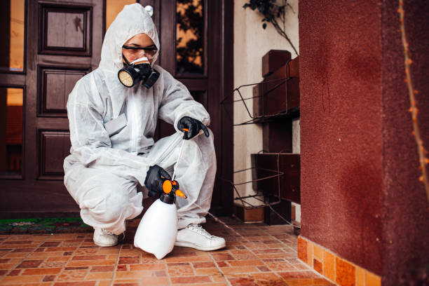 Attic and Crawl Space Rodent Treatment in Kualapuu